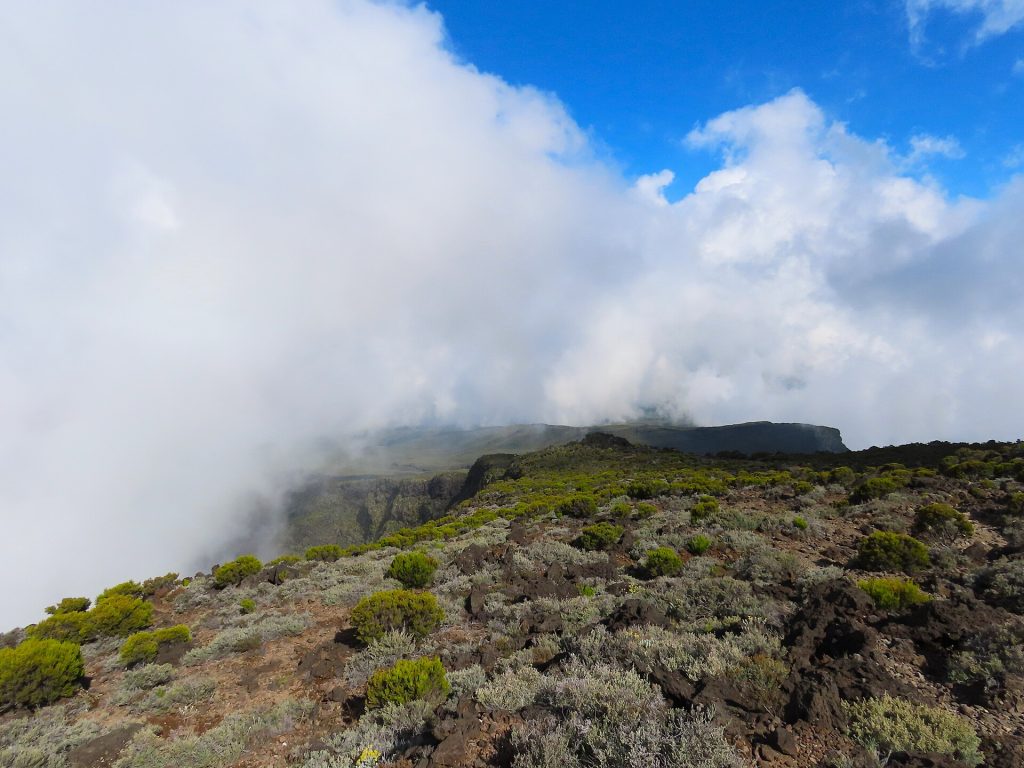 La forêt de Bébour dans les nuages