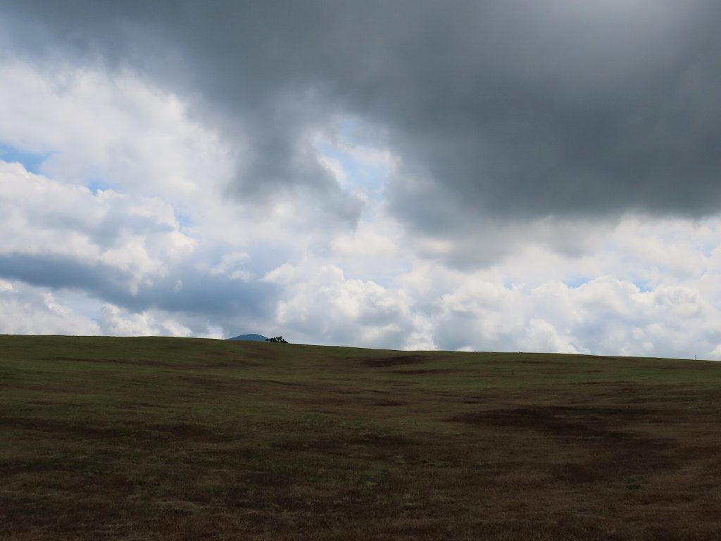 Les prairies de la Plaine des Cafres