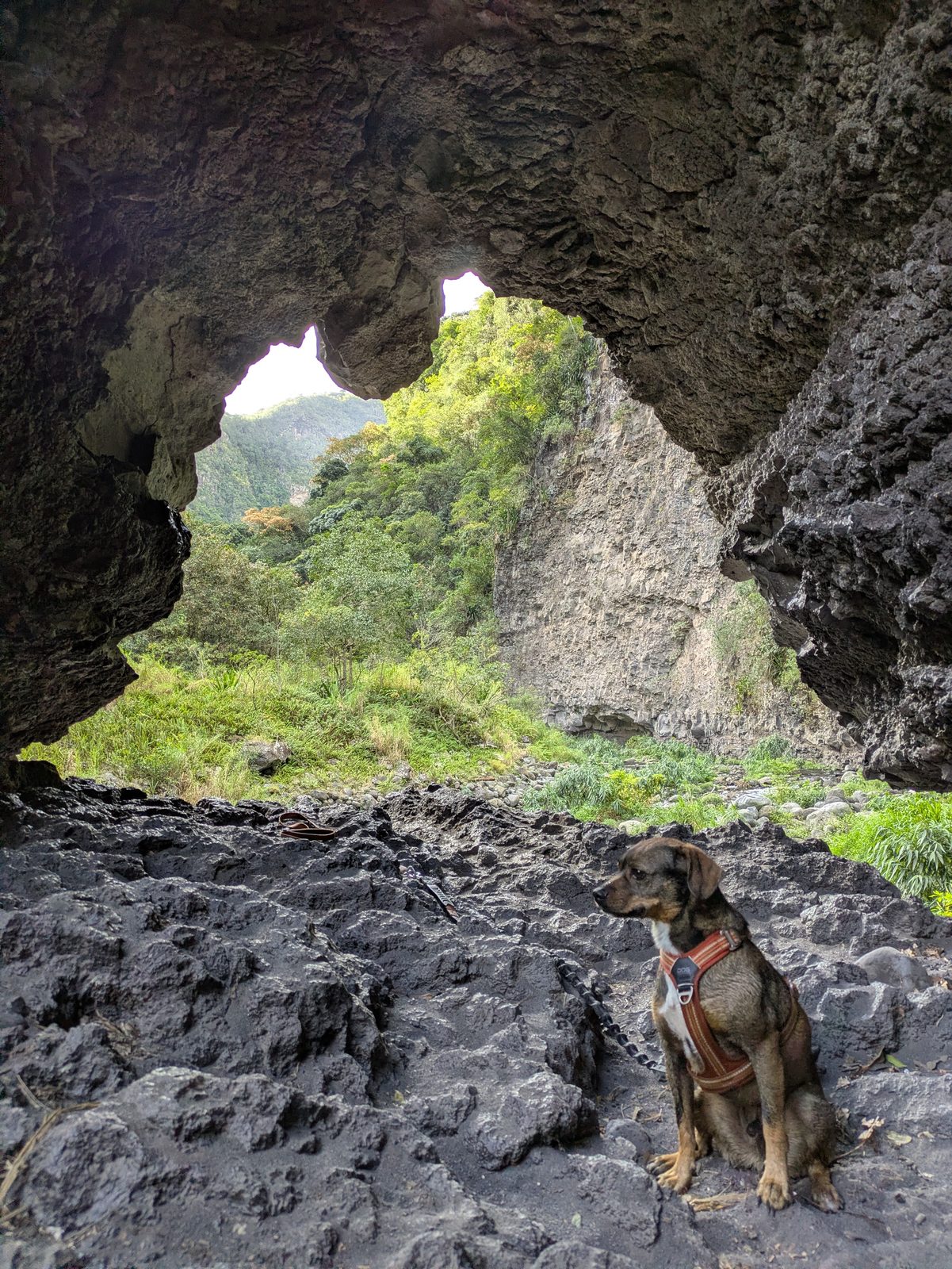 L'arche naturelle du Bras de la Plaine vue de dessous, Prince assis sur la roche