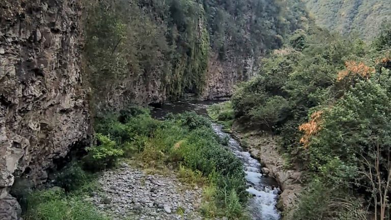 Les gorges du Bras de la Plaine vues depuis la passerelle du sentier Dassy, la rivière en contrebas