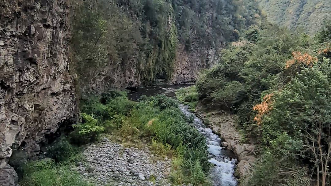Les gorges du Bras de la Plaine vues depuis la passerelle du sentier Dassy, la rivière en contrebas